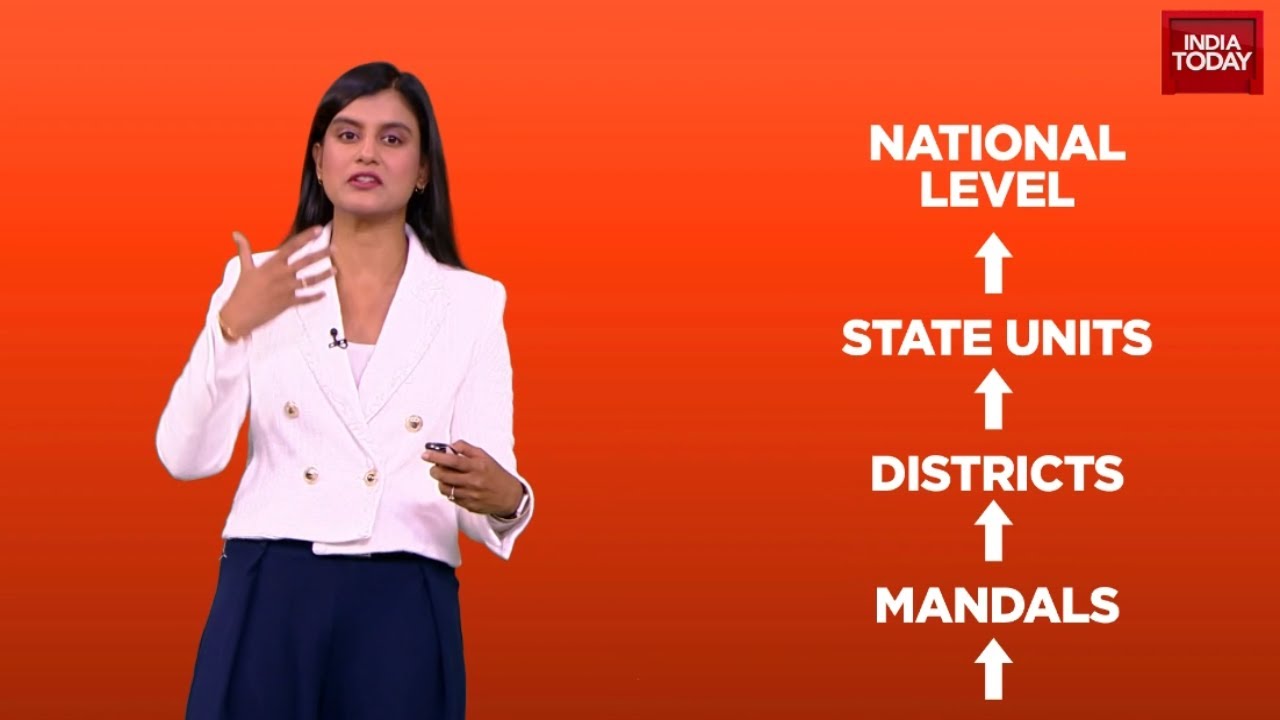 Nitin Nabin Appointed BJP President: Understanding The Election Process Of The World's Largest