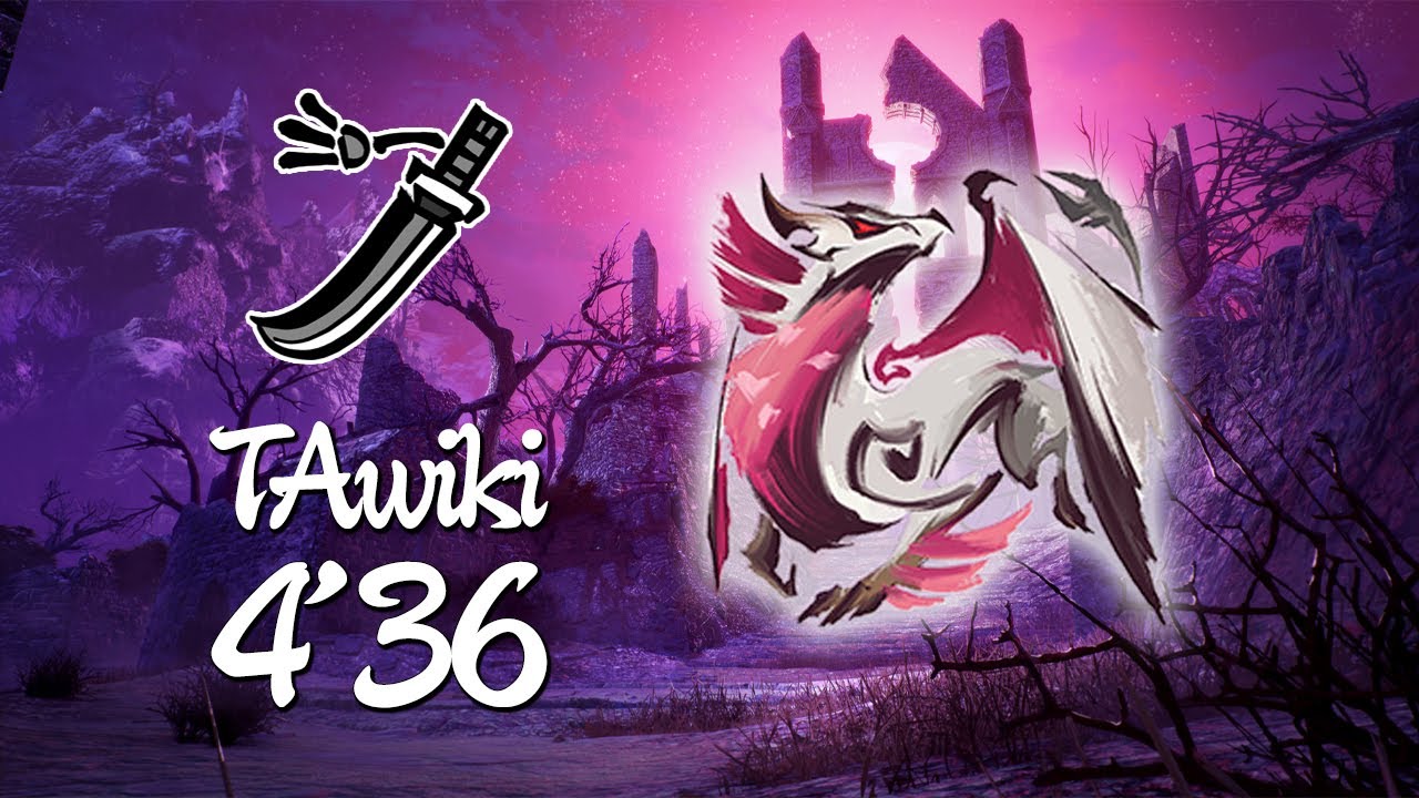 Malzeno TA Wiki Rules Longsword Solo 4'36 | MHR:SB PC