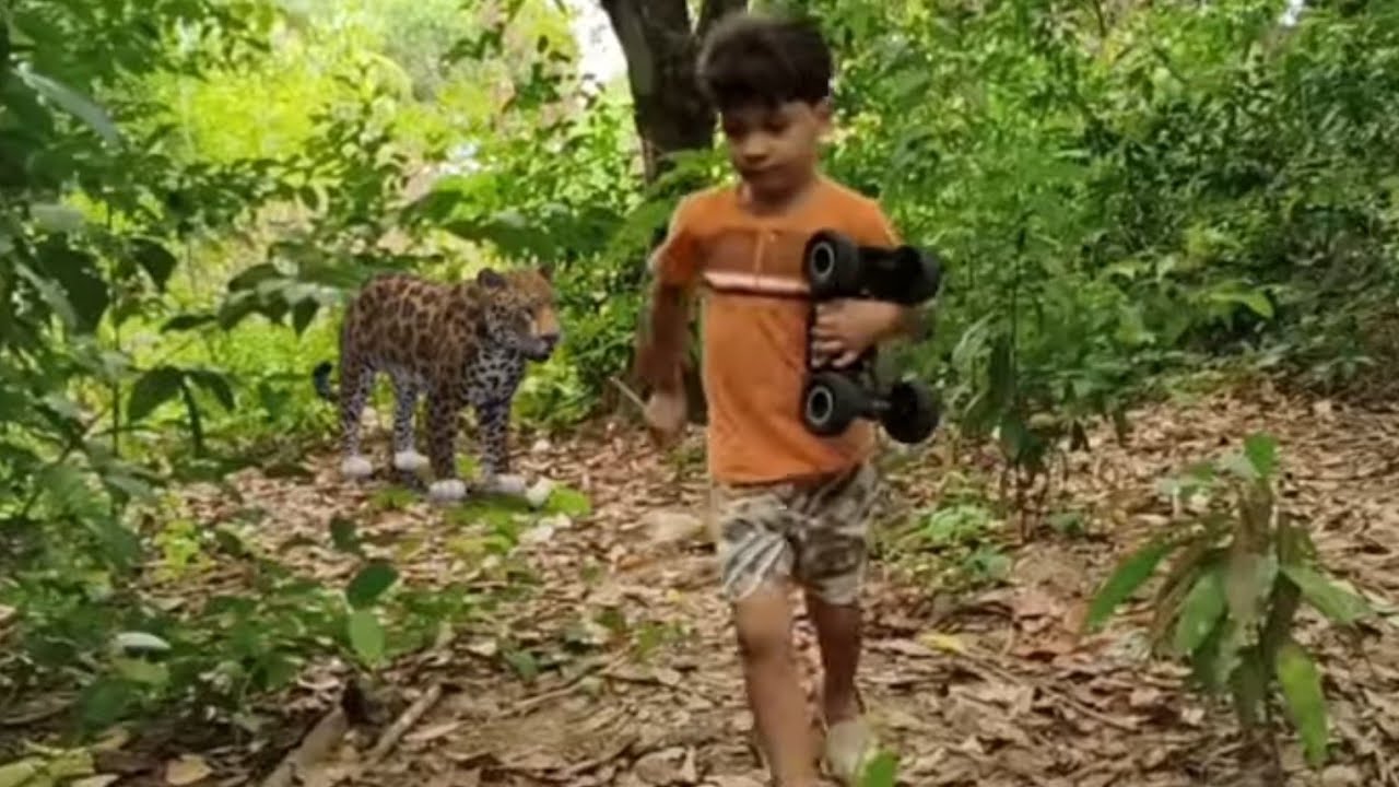 Vó perde o seu Neto na selva