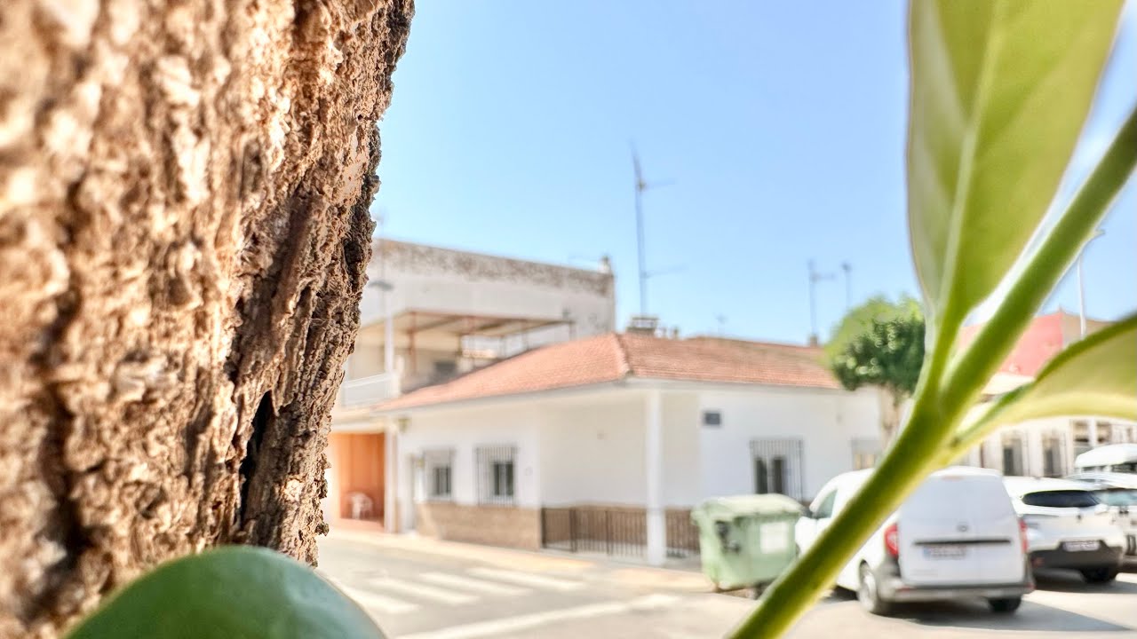 Planta baja esquina reformada de 3 habitaciones en venta en San Pedro del Pinatar
