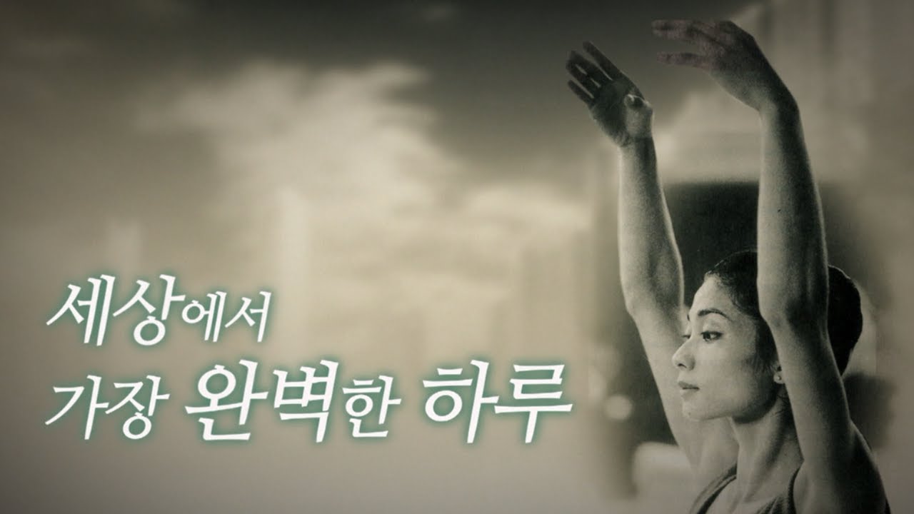 세상에서 가장 완벽한 하루
