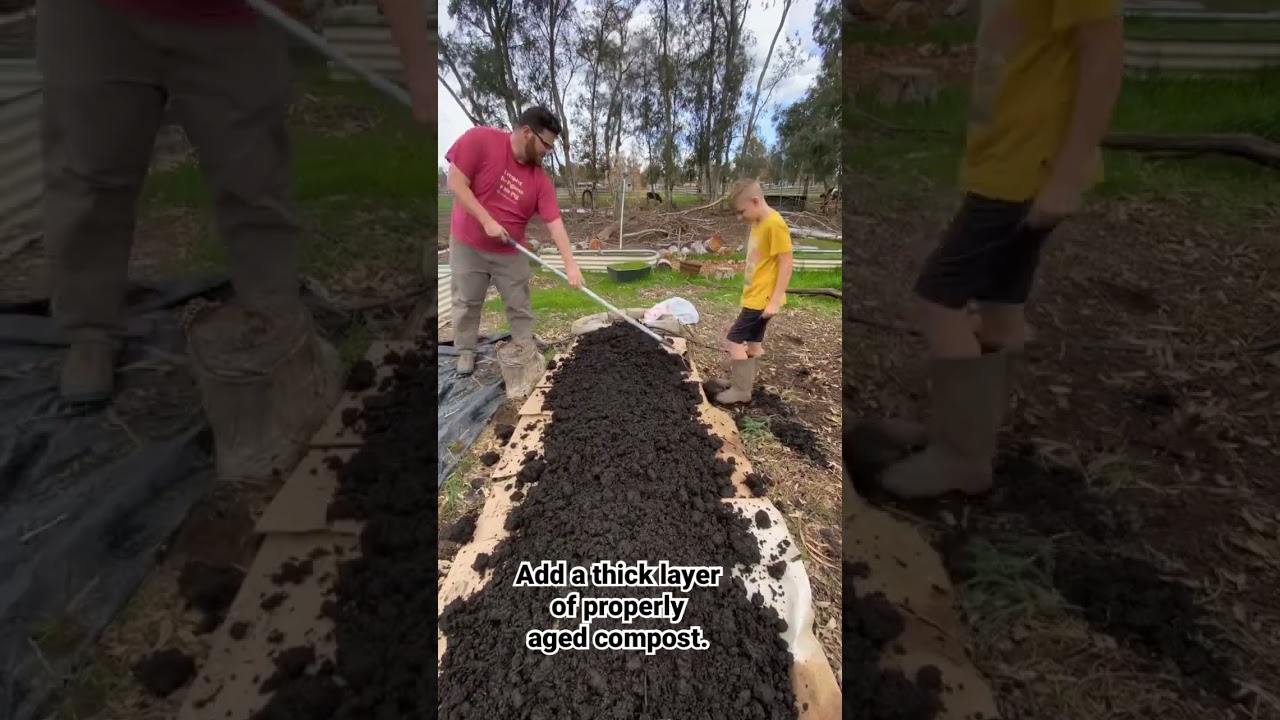 Starting A No Till/No Dig Raised Garden Bed.