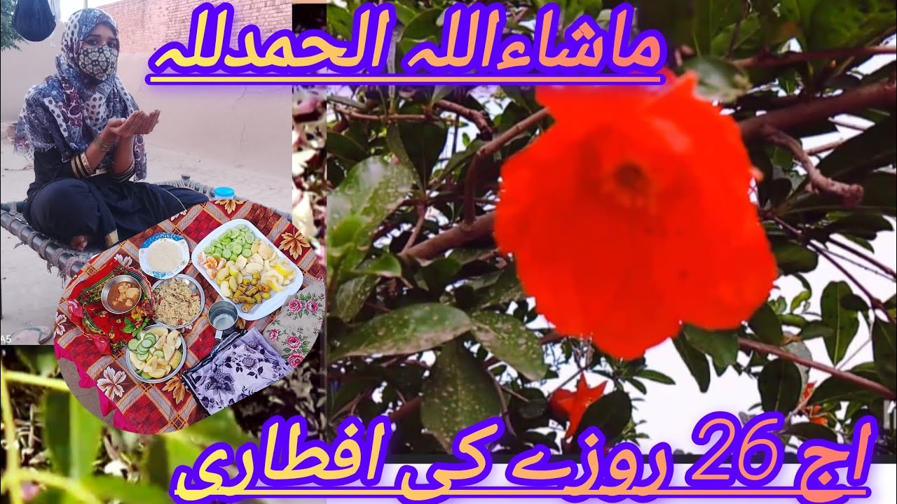 Pure Punjabi live 786 YouTube channel Pakistan zindabad