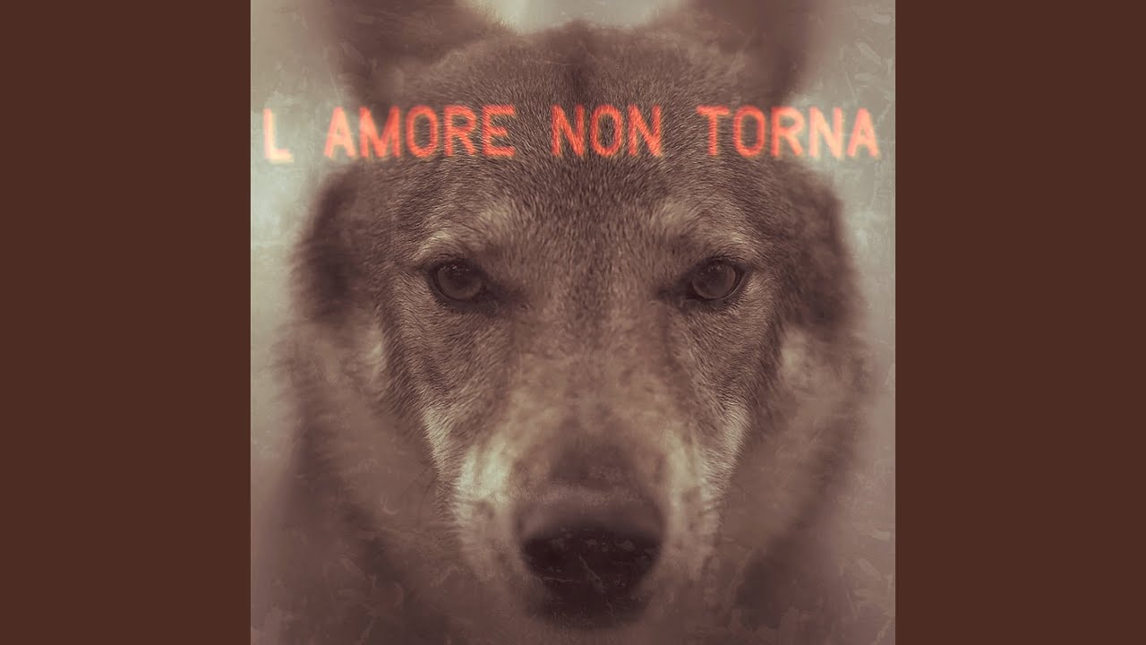 L Amore Non Torna
