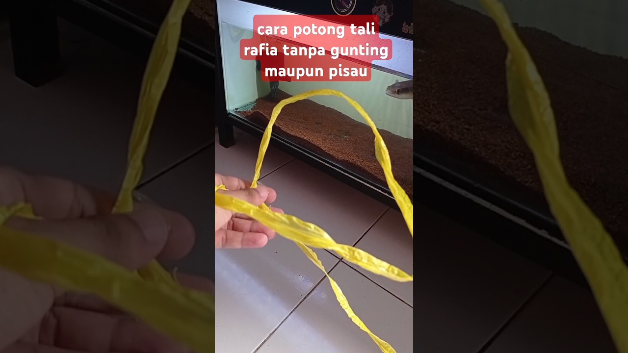 cara rahasia potong tali rafia tanpa pisau maupun gunting #idekreatif #tips #tutorial