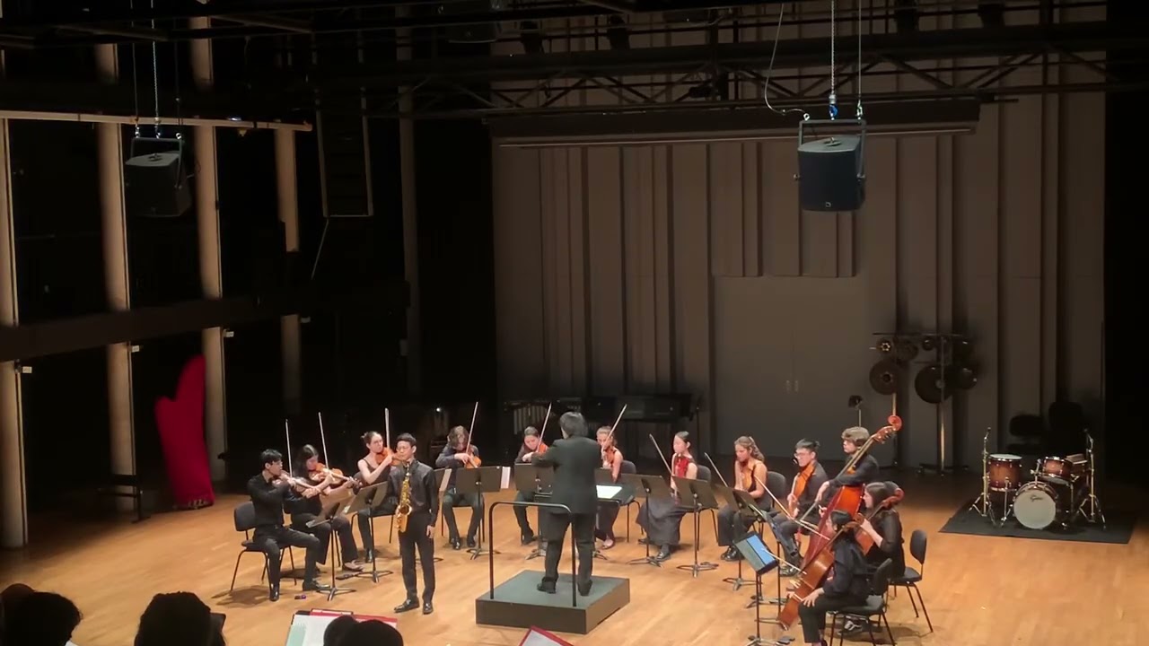 Rhizome pour saxophone alto et ensemble à cordes - Vincent David 