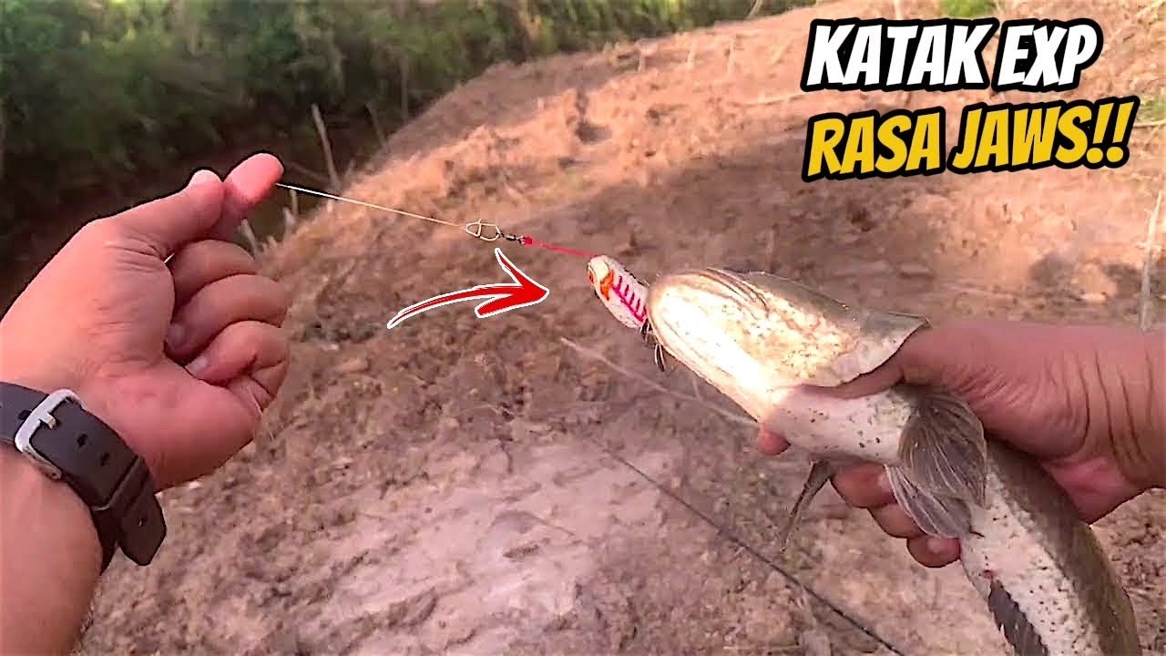 CASTING HARUAN | TEST UMPAN KATAK EXP DI PARIT BARU CUCI | SOFT FROG TUAH