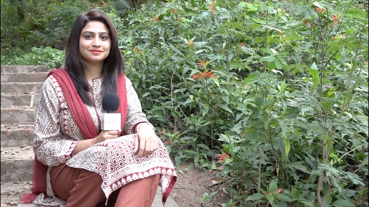 App Ka Dil Kabhi Toota Hai?