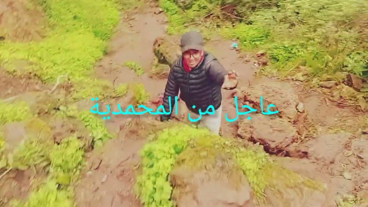 أنا  احب هذه الحظات الجميلة التي التقطتهايبدو أن الرحلة كان ممتعة ج ١