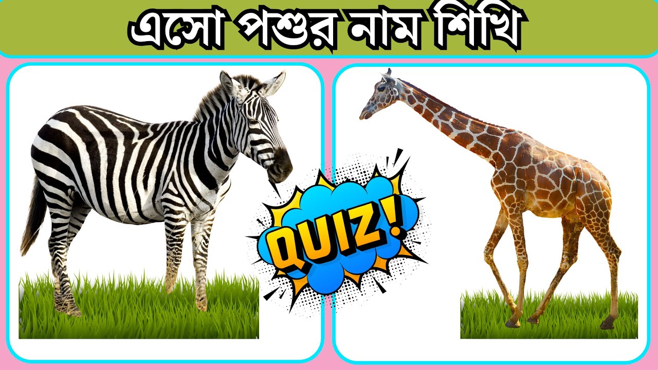 এসো পশুর নাম শিখি
