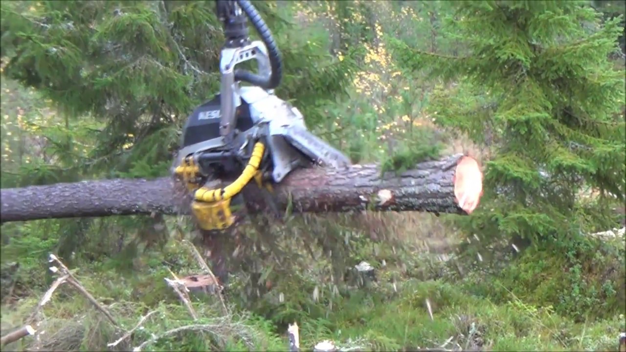 JPS R5500 on Eco Log 560c/Kesla RH 25II