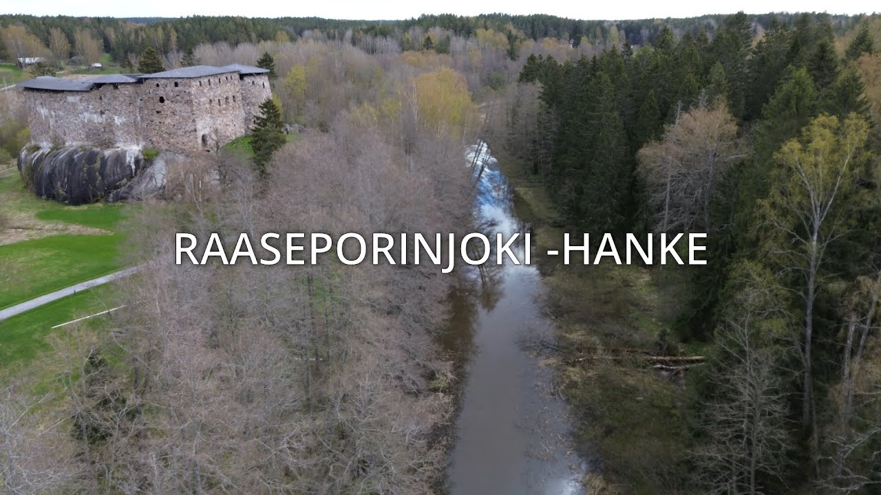 115. Raaseporinjoki-hanke