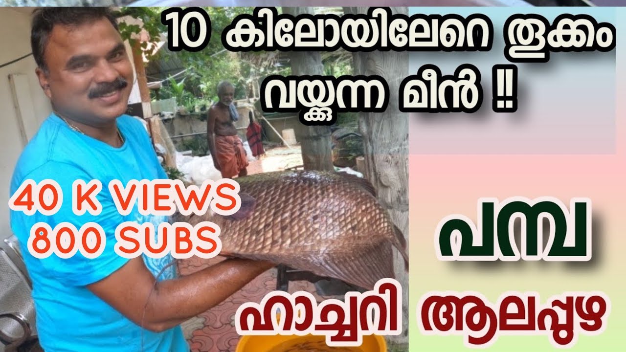 PAMBA FISH FARM ALAPPUZHA | പമ്പ ഫിഷ് ഫാം ആലപ്പുഴ | SANU MEDIA