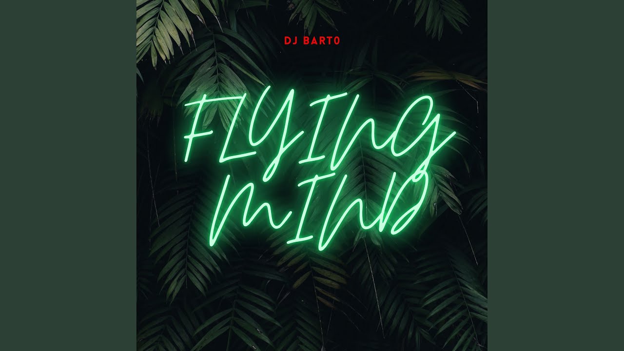 Flying Mind