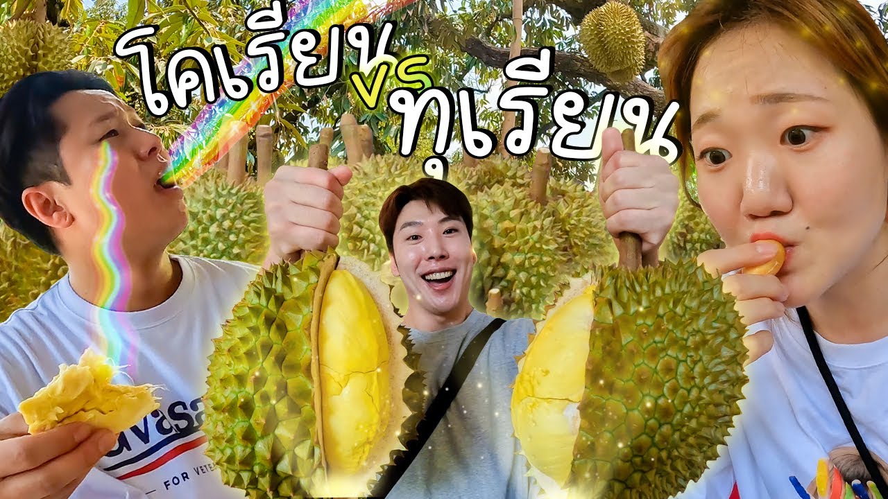 โคเรียนจะกินทุเรียนได้ขนาดไหน?! บุฟเฟ่ต์ทุเรียนในสวนทุเรียนเรียลๆ เรียนเชิญชาวทุเรียน