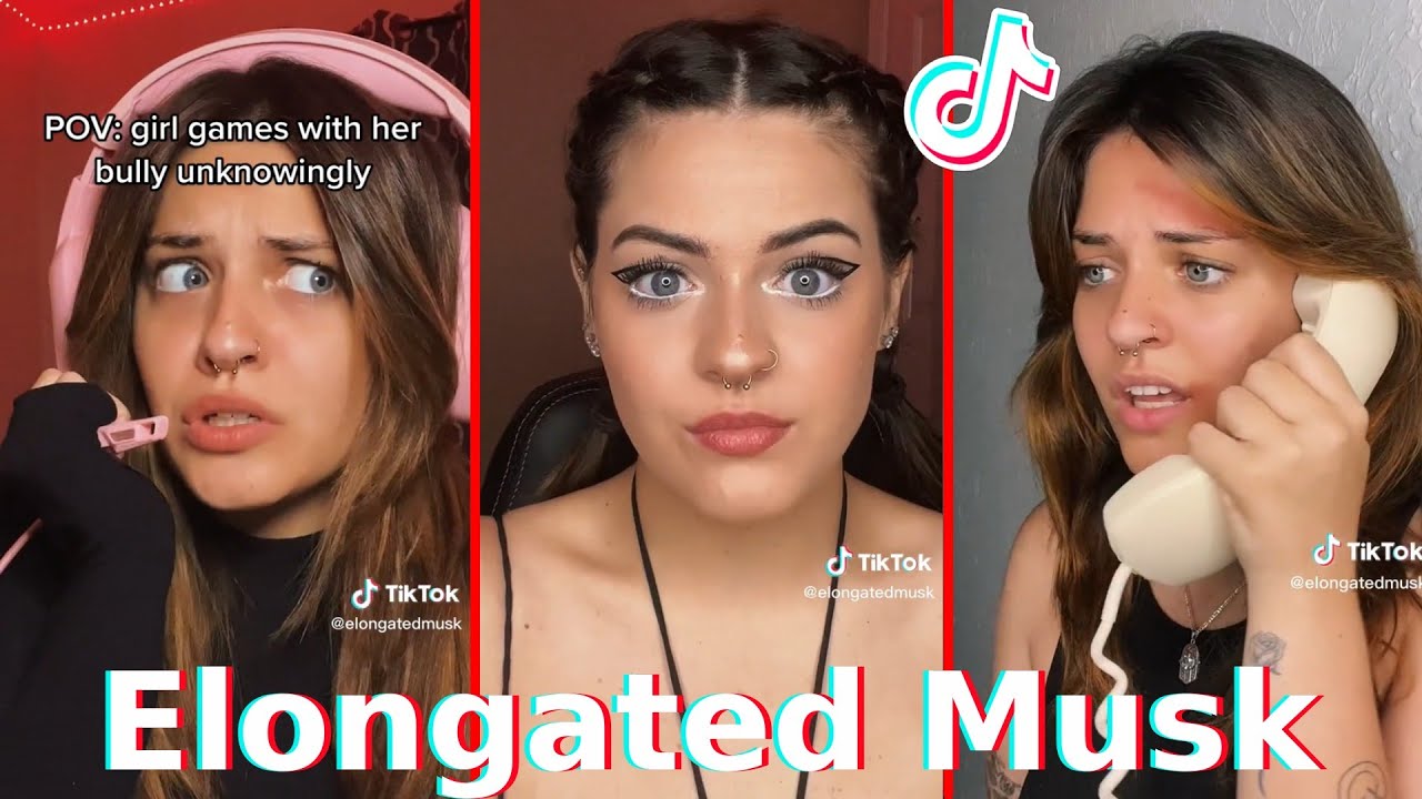 Funny Elongatedmusk POVs  TikToks 2023 - Best Elongated Musk TikTok Videos @ValerieLepelch