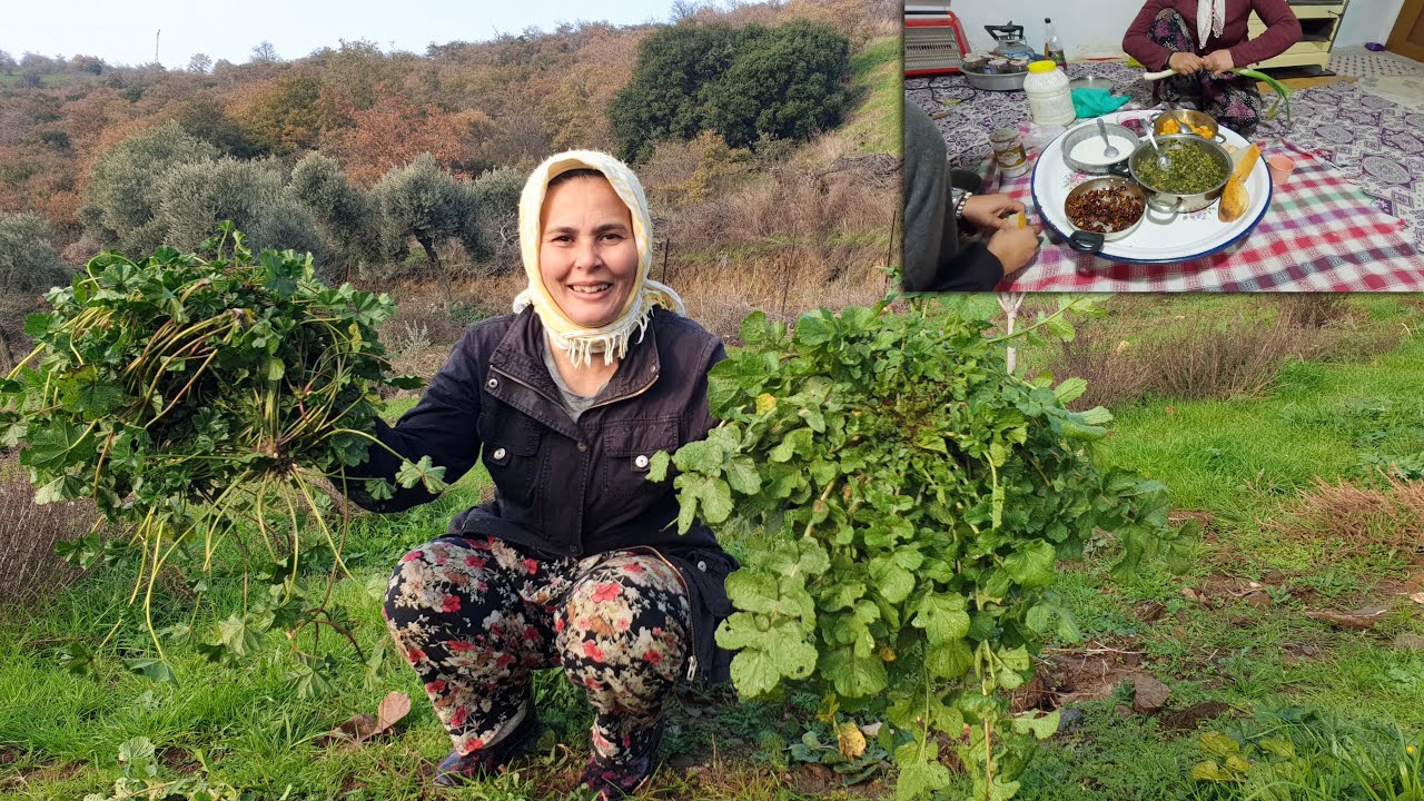 Doğada Yenilebilir Otlardan Miss Gibi Yemek Yaptık | Sizde Yapabilirsiniz  Köyde Yaşama Öğlen Yemeği