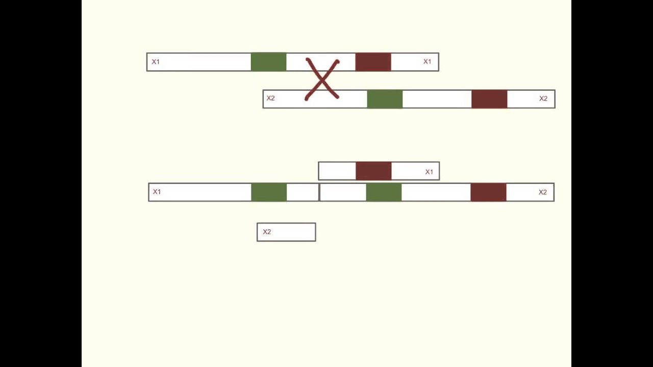 unequal crossing over
