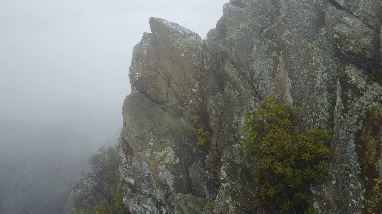 Humpback Rocks & Forest 2017