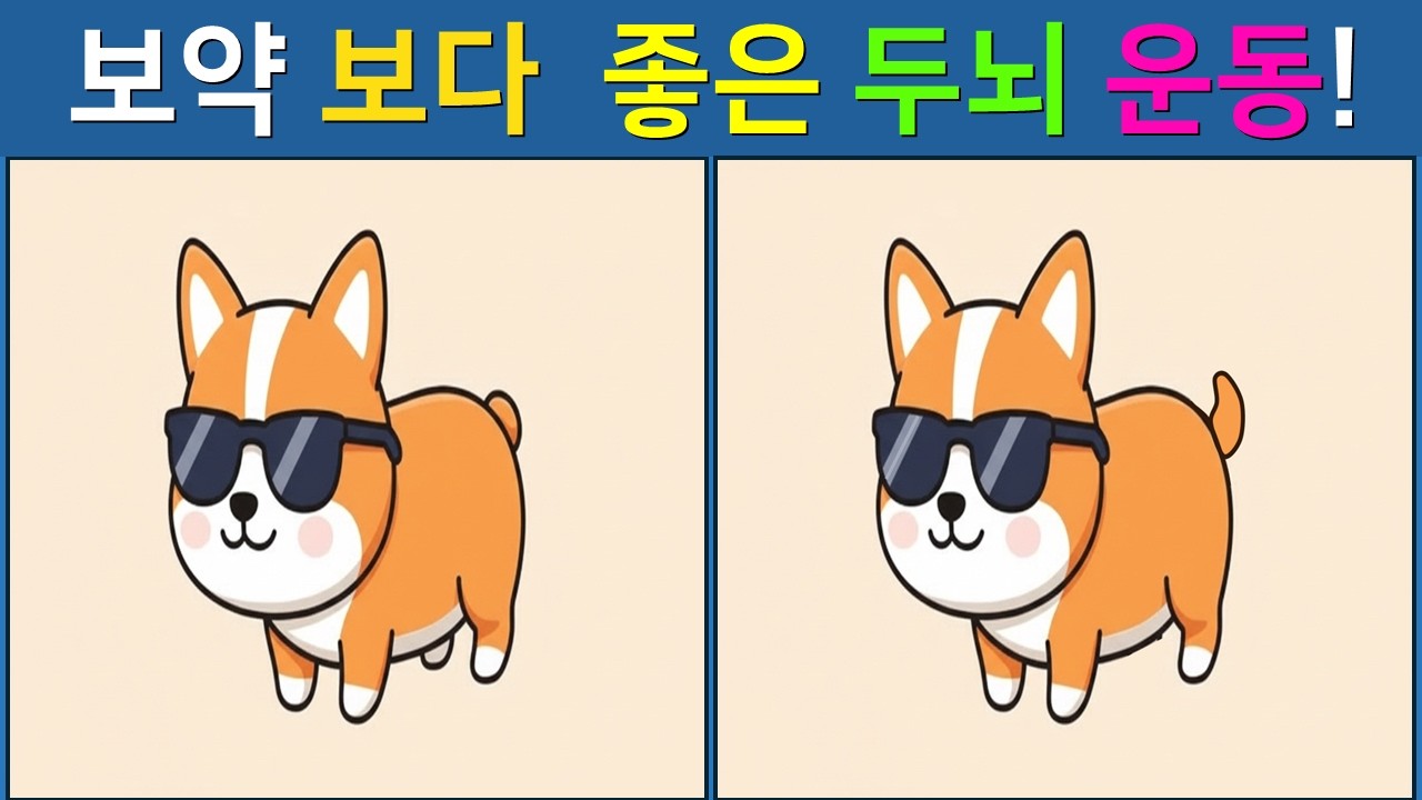 [다른 그림찾기/치매예방]  3개 다 찾으면 건강한 두뇌! 【 find difference / 두뇌운동 / 두뇌 훈련 / 눈썰미 집중력 강화 퀴즈 / #33】
