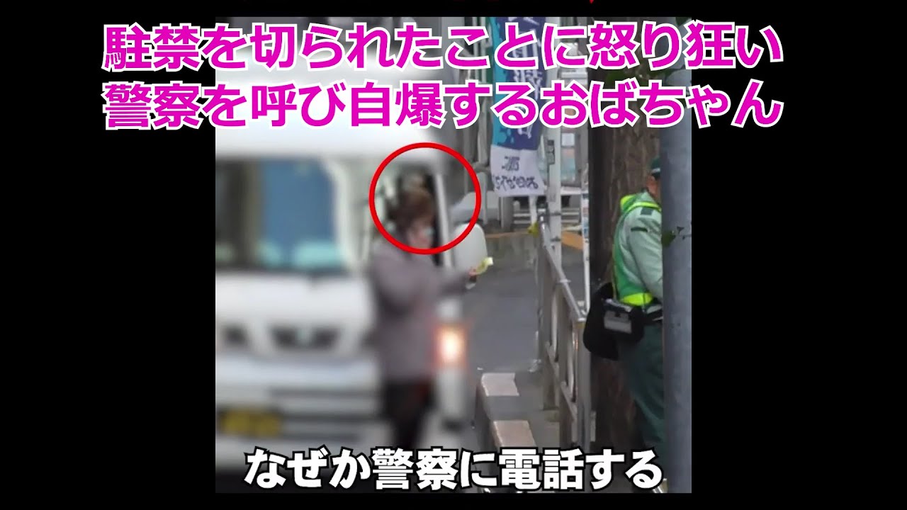 駐禁を切られたことに怒り狂い警察を呼び自爆するおばちゃん・違反者の後ろで堂々と違反するマリカー軍団・警告されても気づかずイエローカットを強行💨捕まったことに驚くトラック運転手・歩行者妨害２連発