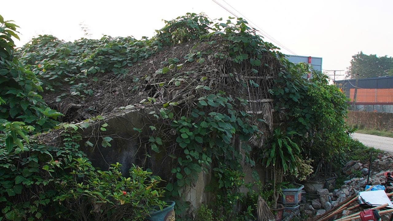 This Terrifying House Is on the Verge of Collapse – What We Found Was Shocking