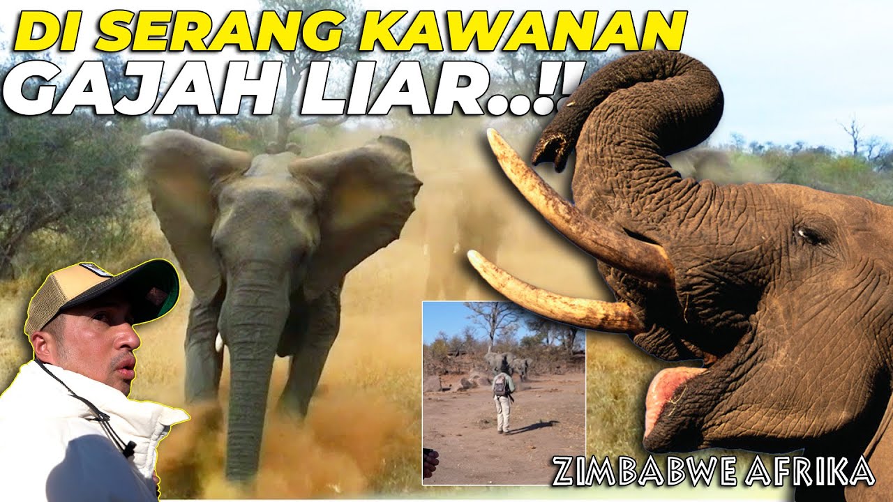 #06 AFRIKA | IRFAN HAKIM DI S3RANG GAJAH LIAR AFRIKA..!!