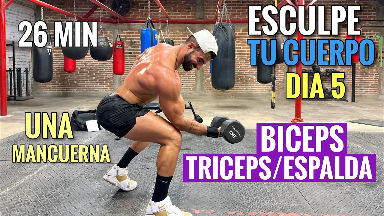 Rutina de Biceps Triceps Espalda Esculpe TU CUERPO Dia 5 (26 Minutos) Quema Grasa Gana M&uacute;sculo