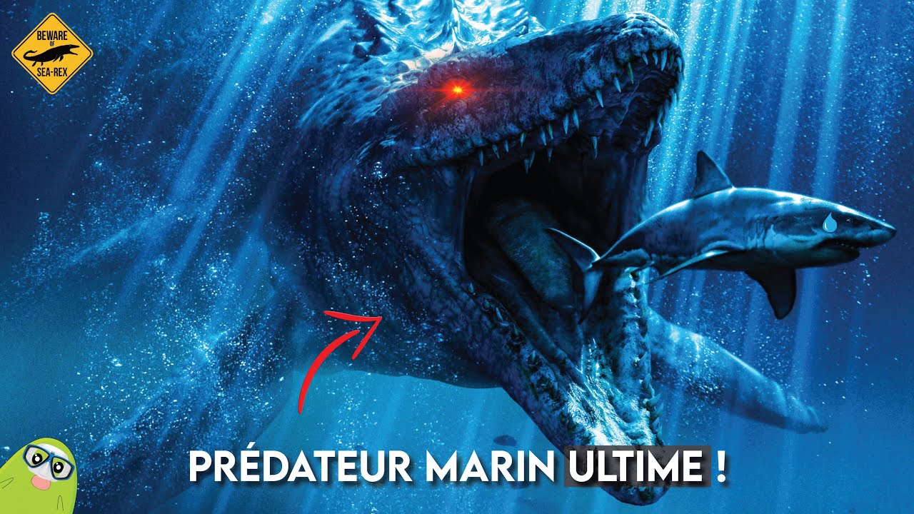 Les Prédateurs marins les plus Dangereux | Les MOSASAURES