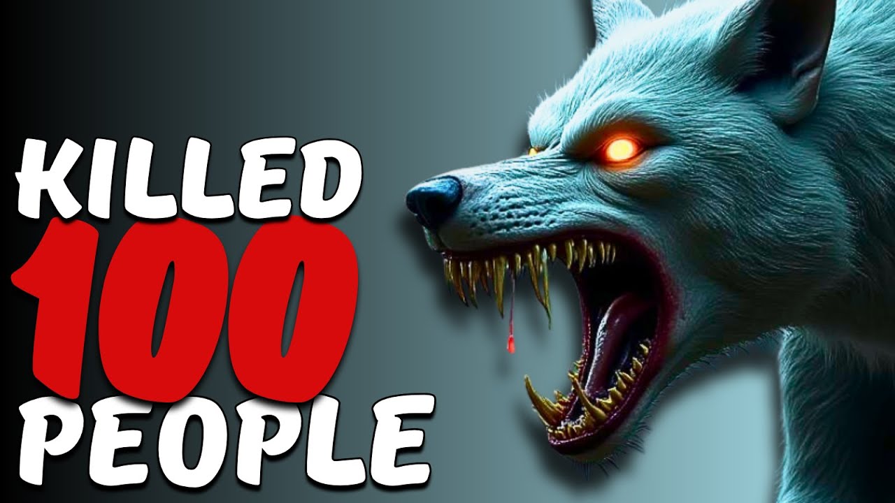 The Hunt for The Beast of Gevaudan - Still a Mystery
