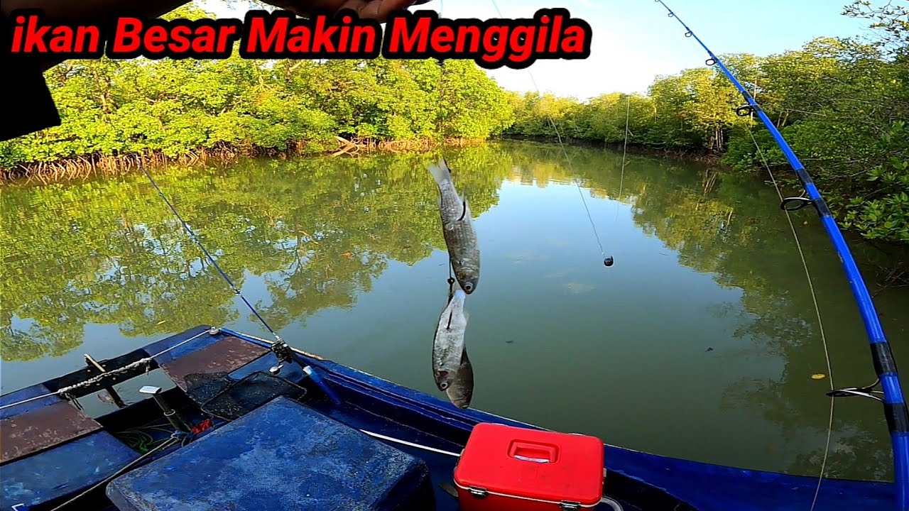 ikan Besar Mana Yg Tidak Tergoda Melihat Deretan Umpan ini, Pancing Melawan ikan Besar