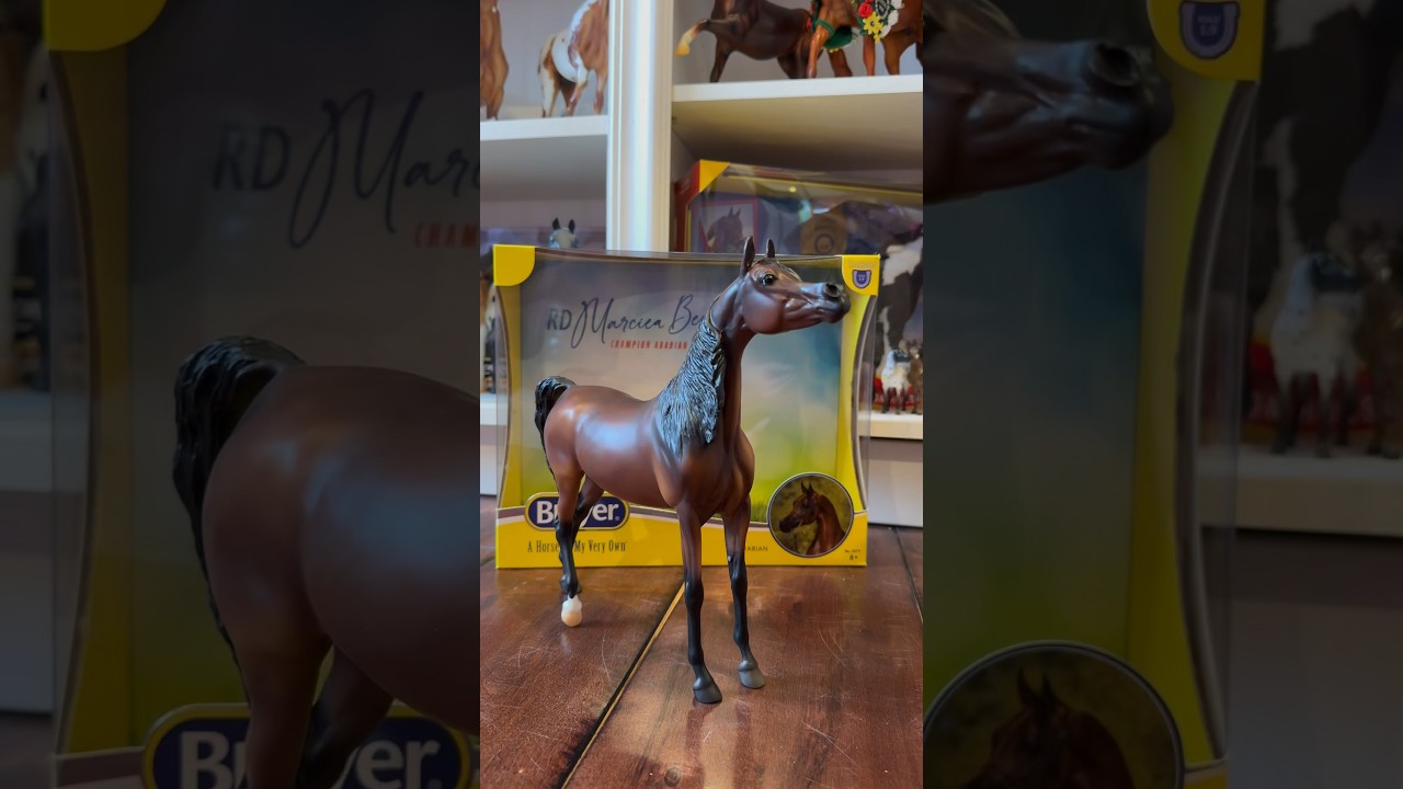 Unboxing RD Marciea Bey | Breyer Horse 🤎 #breyerhorses #horse #breyers #asmr