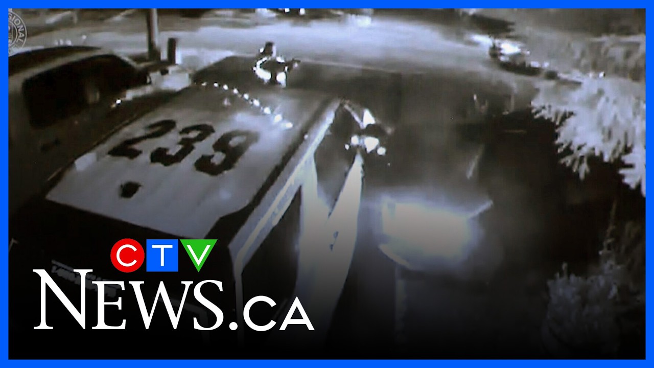 Security video highlights the devastating allegations against seven Toronto police officers