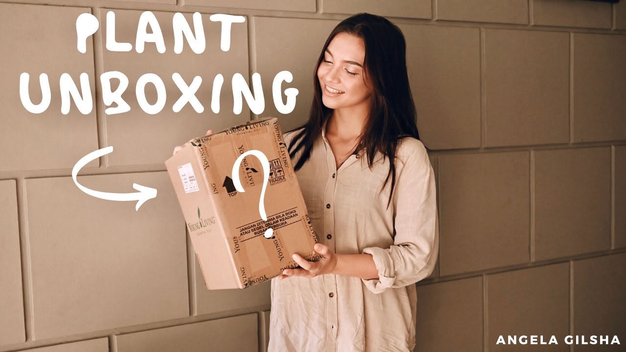 Unboxing new houseplants!| Plant care #eps1