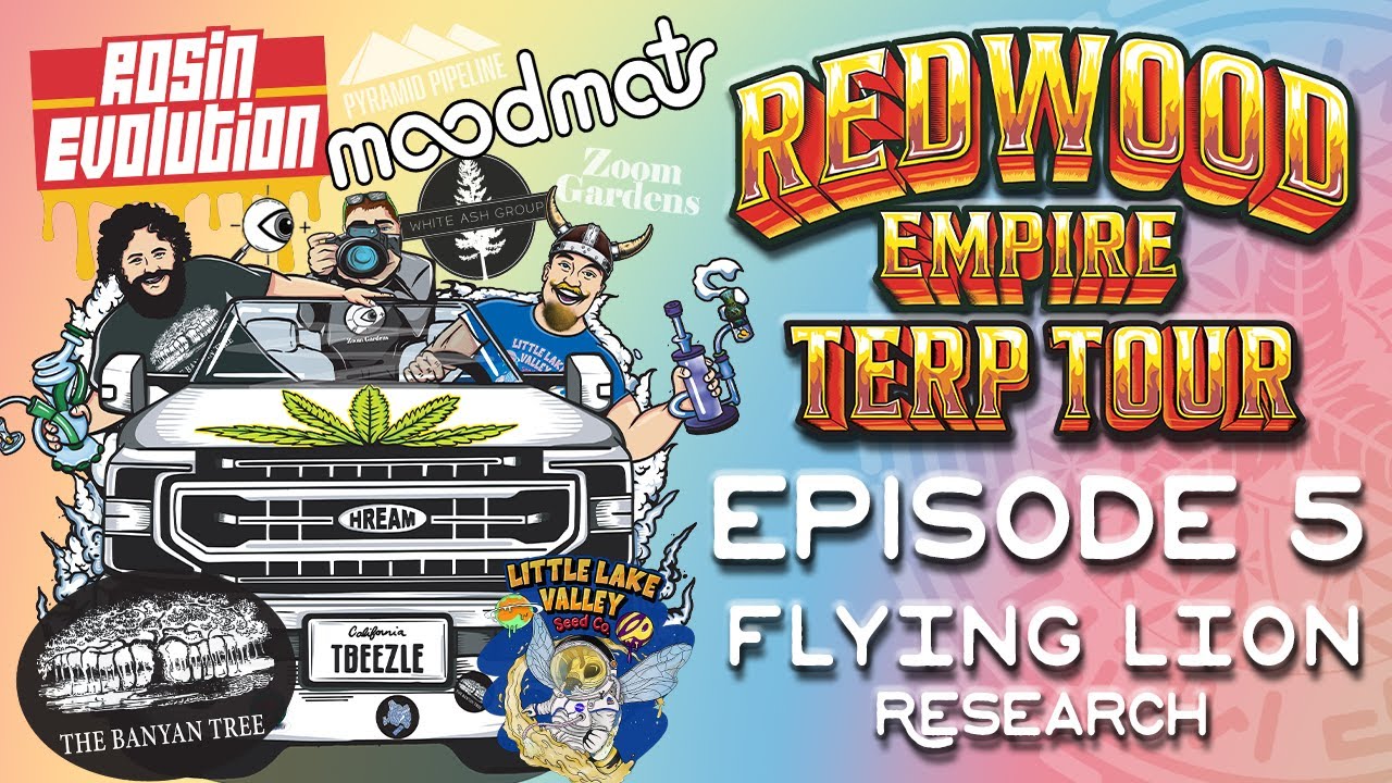 EP 05 - FLYING LION RESEARCH - REDWOOD EMPIRE TERP TOUR
