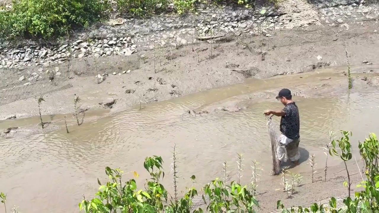 Ngày 8/3 hai vợ chồng e và cậu mợ 8 san bắt làm noi lâu cua ăn tại chỗ nhật thanh Vlogs 