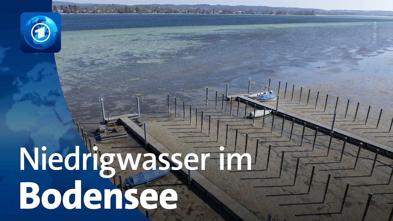 Nach langer Trockenperiode extremes Niedrigwasser am Bodensee