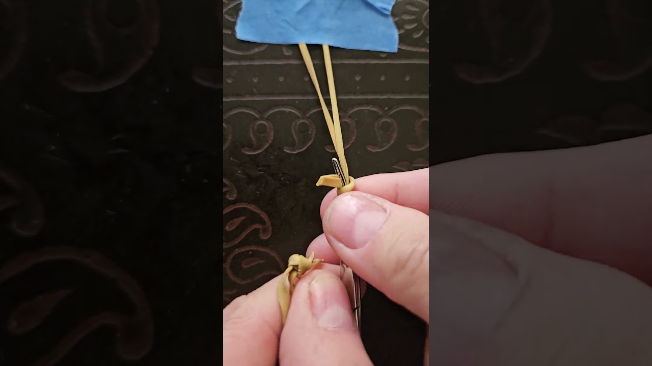 Cat castration model - Rubber band