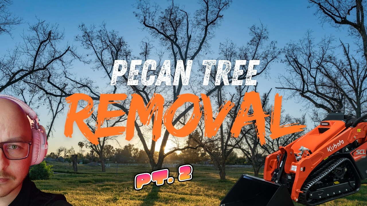 Pecan Tree Clearning Pt  2