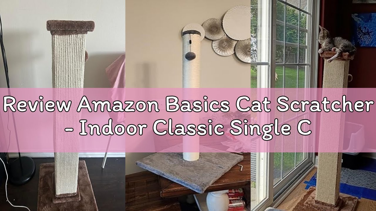 Review Amazon Basics Cat Scratcher - Indoor Classic Single Cat & Kittens Scratching Post, Medium (31