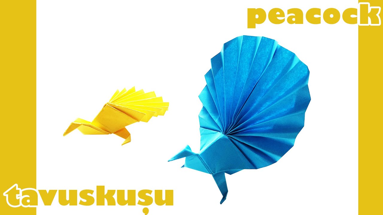 Origami - Paper Folding Art - Kağıt Katlama Sanatı - Peacock - Tavuskuşu
