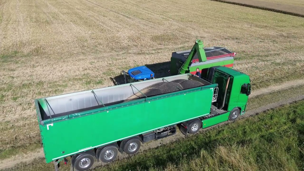 4x NEWHOLLAND 2x PŘEKLÁDACÍ VŮZ řepka v Dolní Jamné