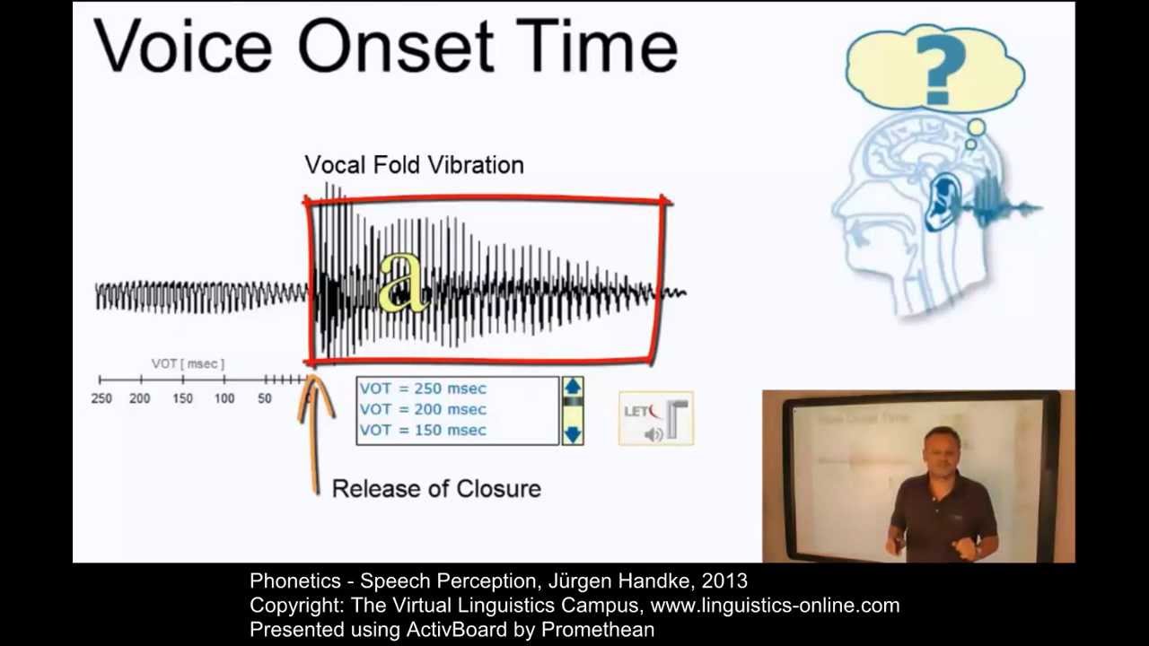 PHO130 - Speech Perception
