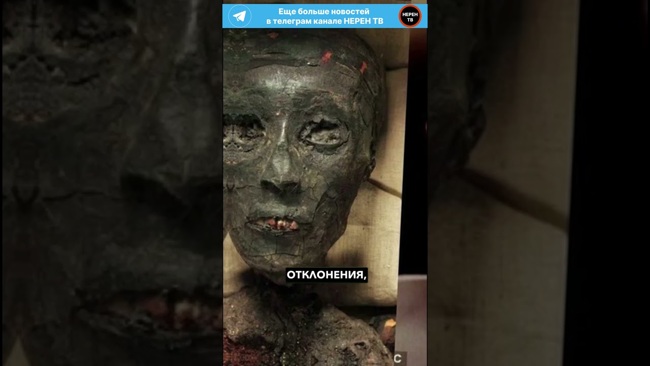 😳 Раскрыта истинная внешность Тутанхамона #shorts #история #факты #tiktok #тутанхамон #Мумия