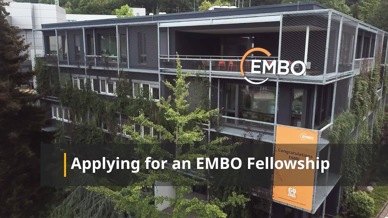 How to apply for an EMBO Postdoctoral Fellowship: Tips from the Committee