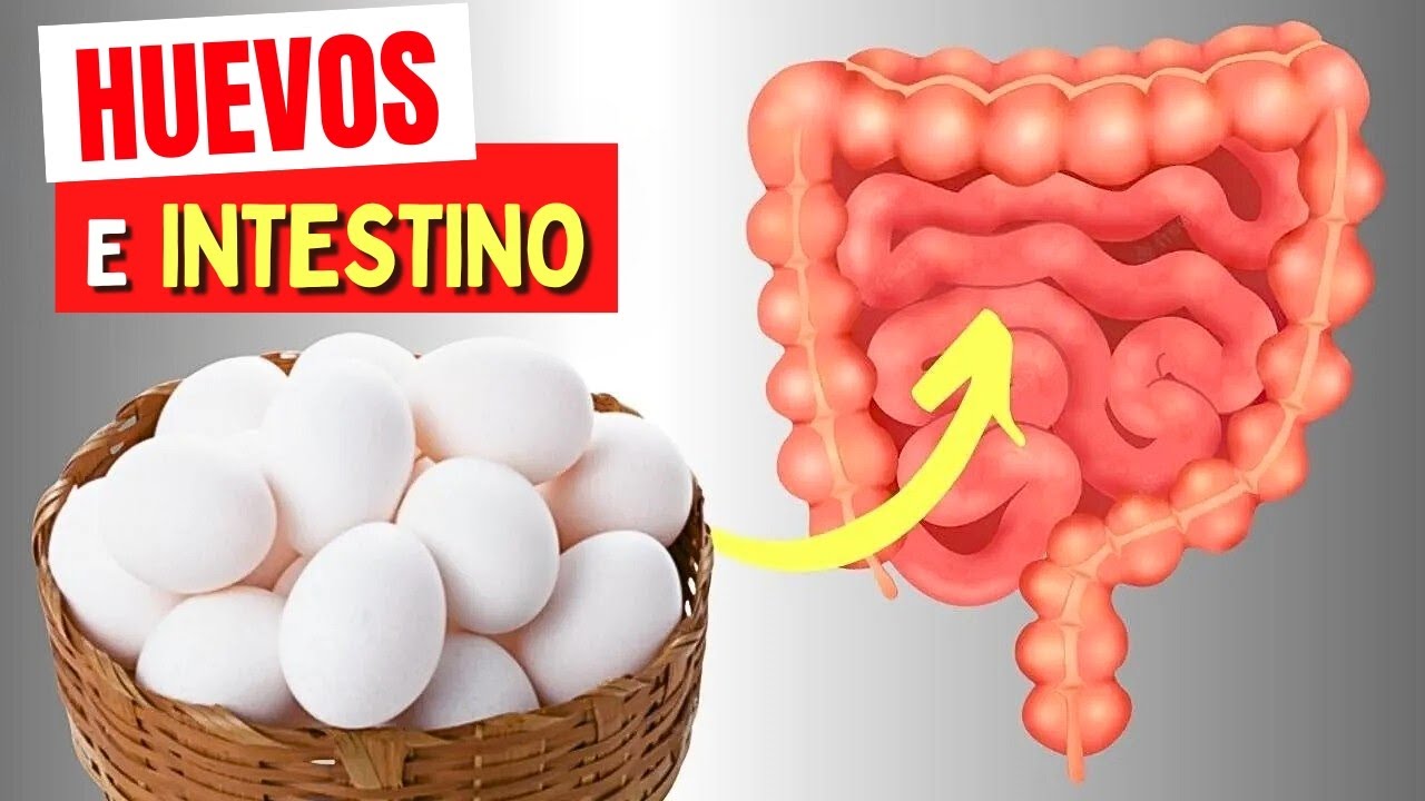 HUEVOS e INTESTINO - ¡Lo que NECESITAS SABER!