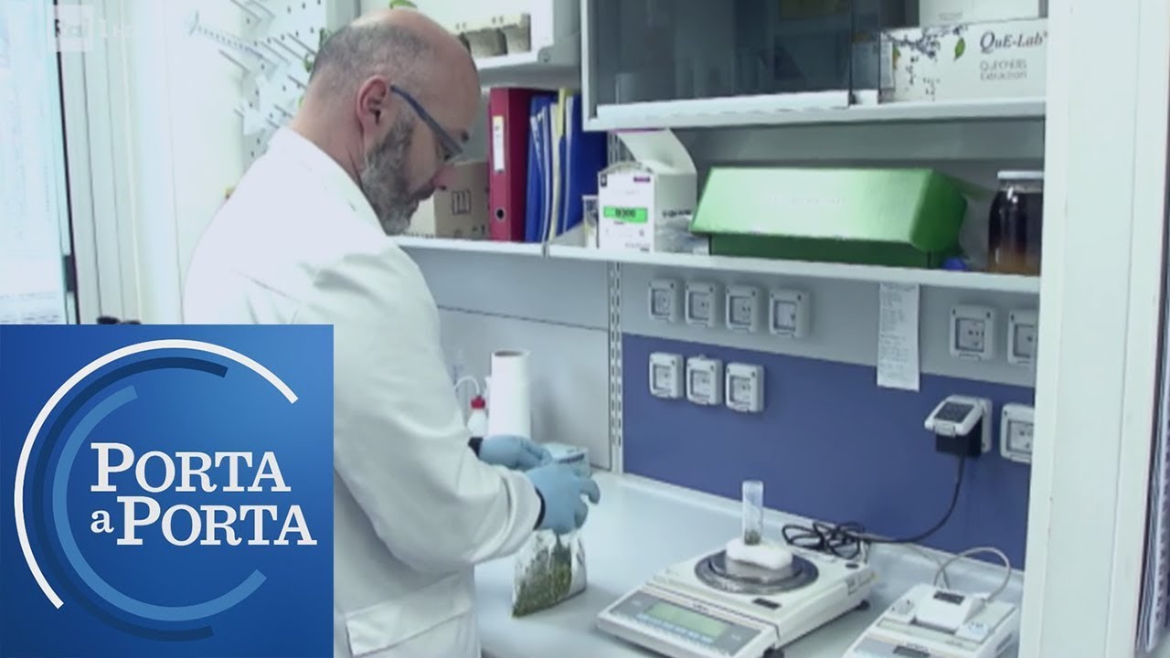 Frodi a tavola e salute del consumatore - Porta a porta 20/02/2019
