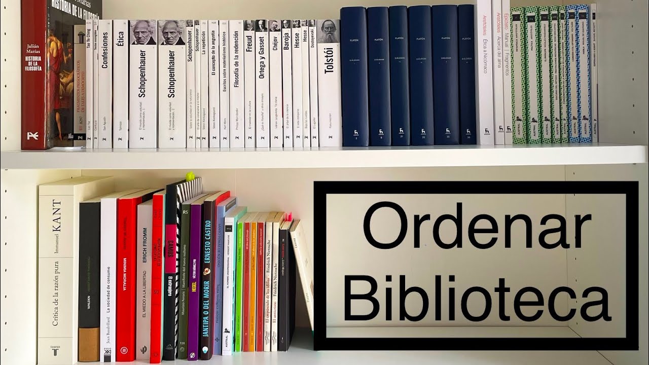 Cómo ORDENAR los LIBROS de TU BIBLIOTECA 📚 | Os muestro cómo ordeno mis libros
