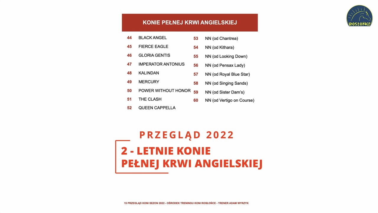 2 - letnie konie pełnej krwi angielskiej Przegląd 2022 Stajnia Rosłońce