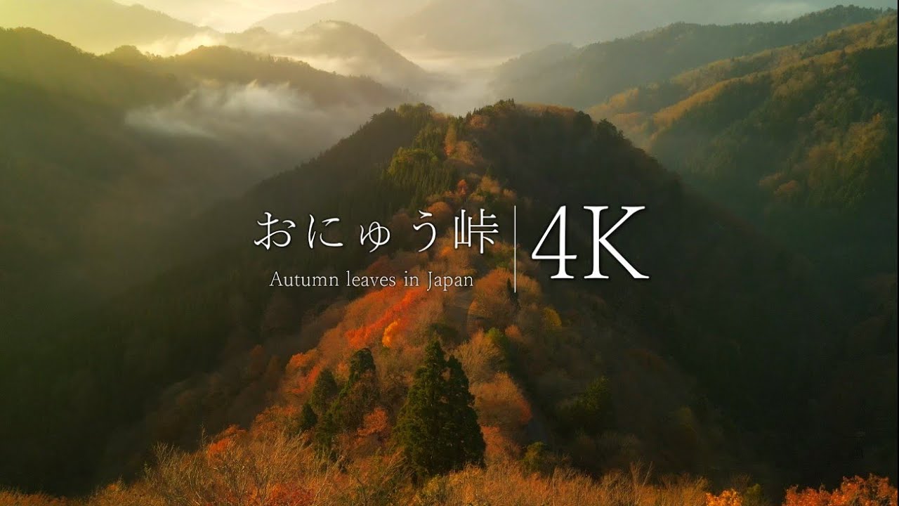 【知る人ぞ知る秘境の紅葉】おにゅう峠の雲海と紅葉
